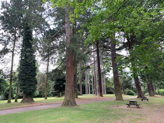 Parks in Stroud